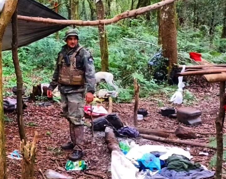 Arrestaron a un cazador en el Parque Urugua-í: en el campamento descubrieron un arsenal de armas, trampas, y animales silvestres faenados