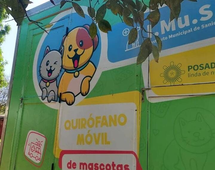 El IMuSA en tu barrio, cronograma de los operativos de sanidad animal