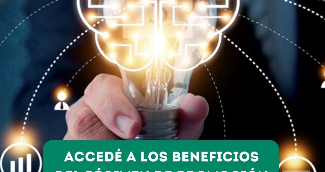 Economía del Conocimiento: Se brindan asesorías especializadas a empresas