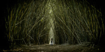 El cine misionero presente en Cannes