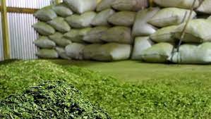 Oficializan la incorporación de la Yerba Mate en el Programa de Incremento Exportador