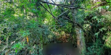 Investigan la muerte de un hombre que se habría efectuado un disparo accidentalmente