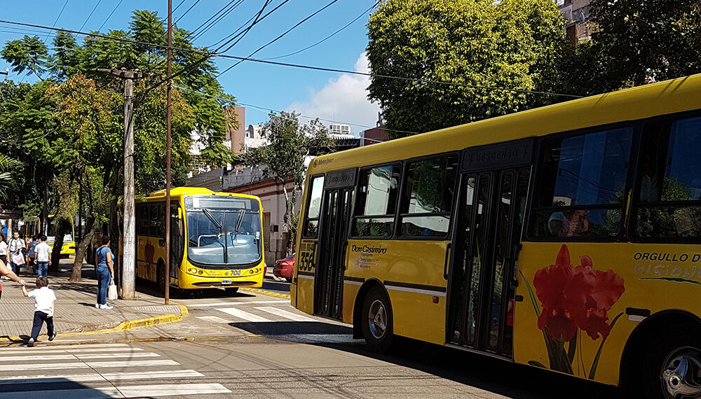 Este domingo habrá boletos gratis en colectivos para ir votar