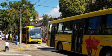 Este domingo habrá boletos gratis en colectivos para ir votar