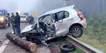 Camión que perdió una carga de pinos sobre la ruta provocó fuerte accidente que dejó un lesionado de gravedad