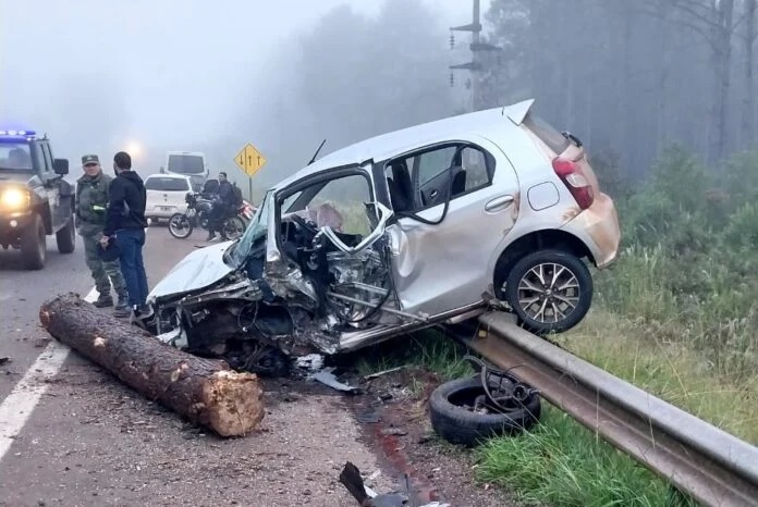 Camión que perdió una carga de pinos sobre la ruta provocó fuerte accidente que dejó un lesionado de gravedad