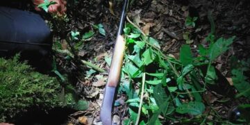 Arrestaron a un delincuente con amplio prontuario delictivo que asaltó en un bar de El Soberbio