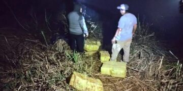 Policías se enfrentaron con narcotraficantes en la costa del Río Paraná: incautaron marihuana valuada en más de 138 millones de pesos