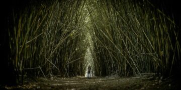 El cine misionero presente en Cannes
