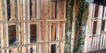 Frustraron riñas de gallos con apuestas clandestinas