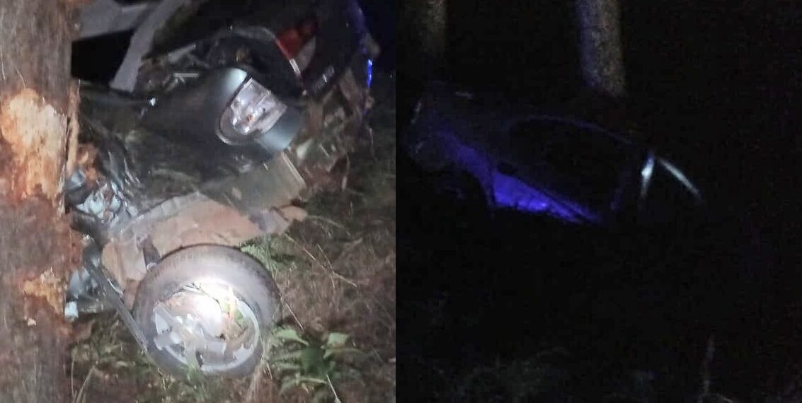 Perdió la vida tras despistar y chocar su vehículo contra un árbol