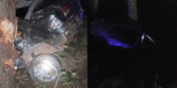 Perdió la vida tras despistar y chocar su vehículo contra un árbol