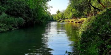 La reserva del arroyo Chimiray fue declarada área natural protegida