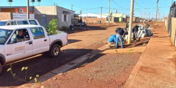 Arborización y conciencia ambientalista en Itaembé Guazú