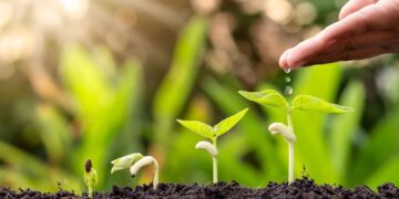 Por ley, Misiones busca erradicar el uso del glifosato en la agricultura y promueve la producción de bioinsumos