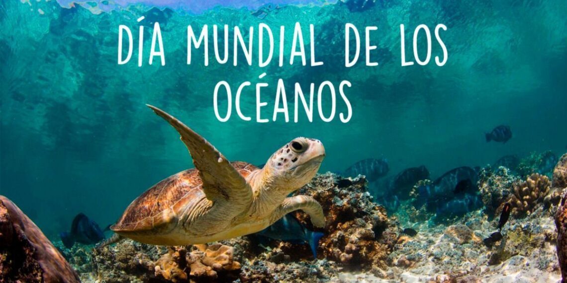 Día Mundial de los Océanos: los ecosistemas marinos del mundo están en jaque