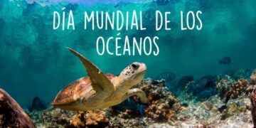 Día Mundial de los Océanos: los ecosistemas marinos del mundo están en jaque