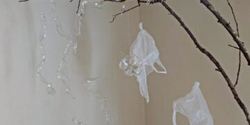 “La Nación de Plástico”: el arte se manifiesta por la conciencia ambiental en el Yaparí