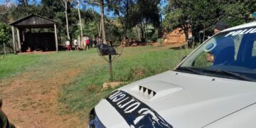 Leandro N. Alem: detuvieron a una mujer por maltrato animal