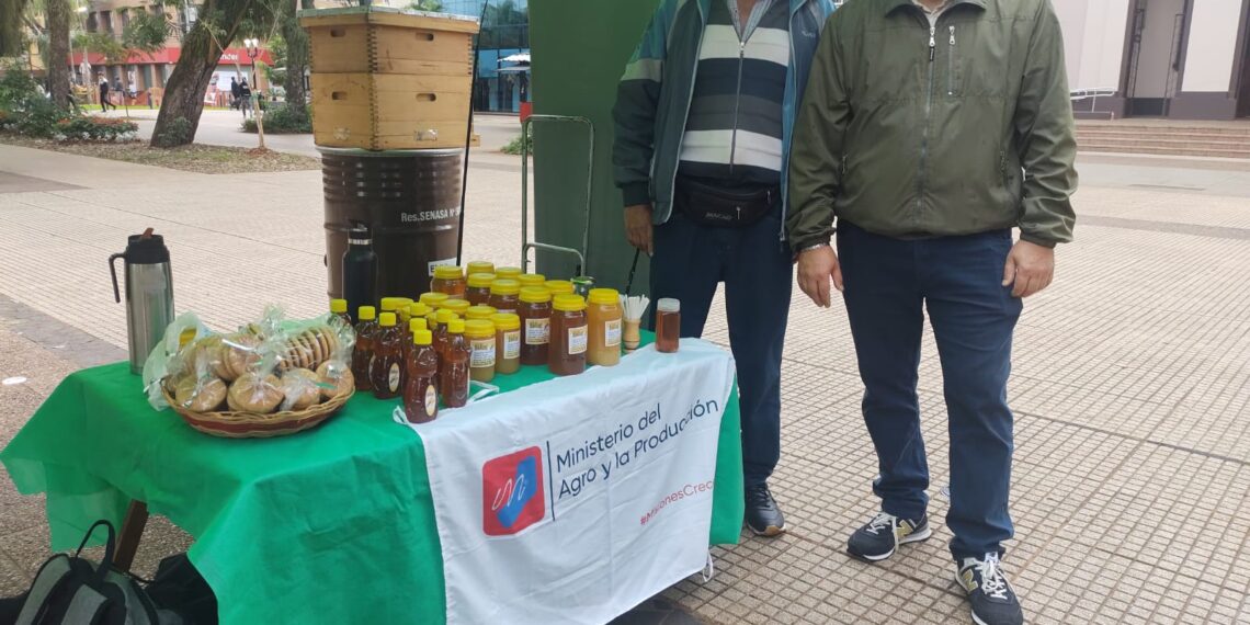 Recuerdan el Día del Apicultor en la Plaza 9 de Julio de Posadas