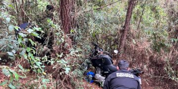 Los Helechos: hallaron restos óseos y la Policía investiga si se trata de Pedro Wojtowicz