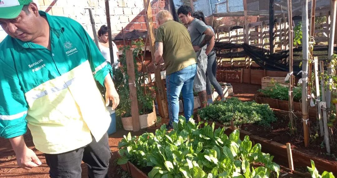 Fortalecen las huertas en la ciudad con entrega de insumos y capacitaciones