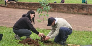 Se realizó una plantación masiva en plazas posadeñas