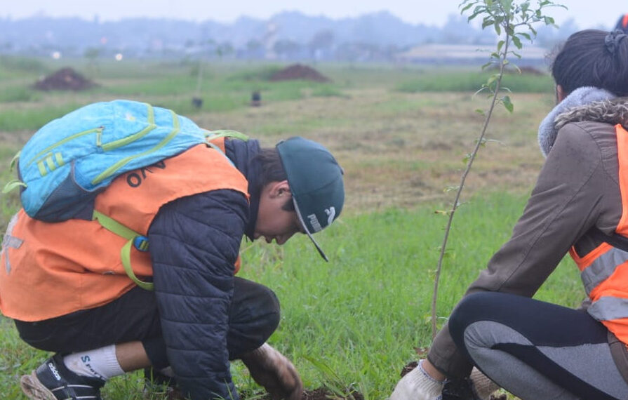 Iniciativa sostenible: 1.500 árboles para contribuir con la reforestación local