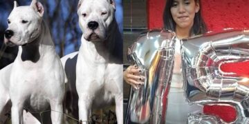 Córdoba: imputaron por homicidio al dueño de los dogos que mataron a una adolescente