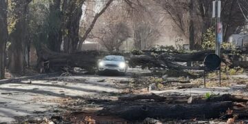Dos muertos en Mendoza por las fuertes ráfagas del viento Zonda