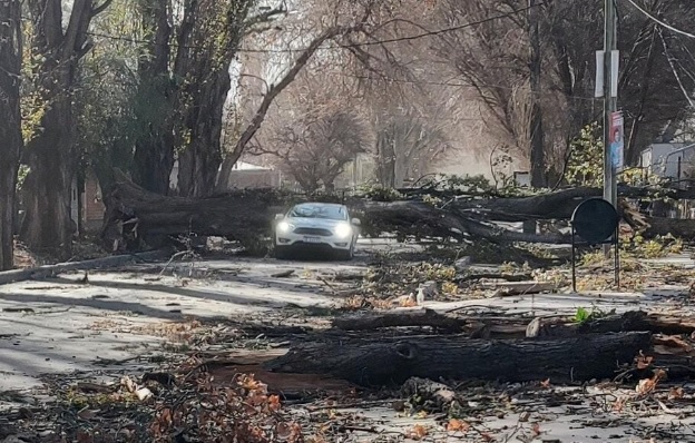 Dos muertos en Mendoza por las fuertes ráfagas del viento Zonda