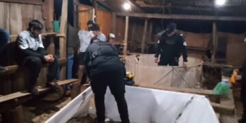 Operativo policial desmanteló una red de peleas clandestinas de gallos en Campo Grande