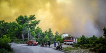 Ola de calor e incendios en el Mediterráneo: hay al menos 35 muertos en Italia, Grecia y Argelia