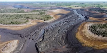 Sequía en Uruguay: en Montevideo sólo sale agua salada de los grifos