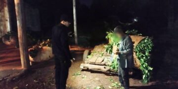 Operativos rurales: recuperaron yerba robada, secuestraron un arma para caza ilegal y destruyeron redes de pesca