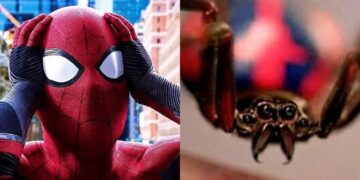 Un nene de 8 años se hizo picar por una araña para ser “Spiderman” y quedó en terpia intensiva