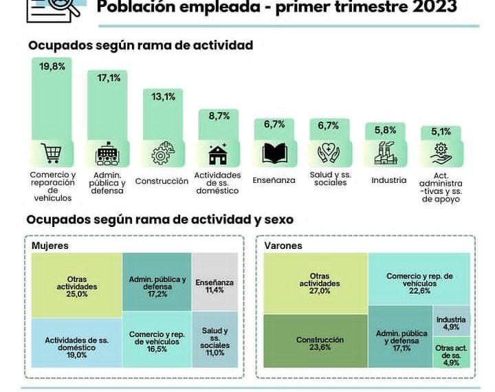 Dinámicas de ocupación: la tasa de empleo en el primer trimestre del año fue de 46%