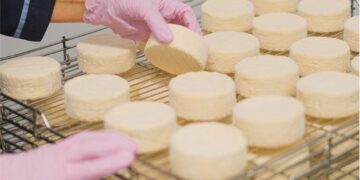 Se emitieron más de 2.200 carnets de manipulación de alimentos