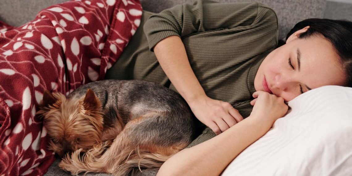 Por qué no es recomendable dormir con un perro o gato en la cama