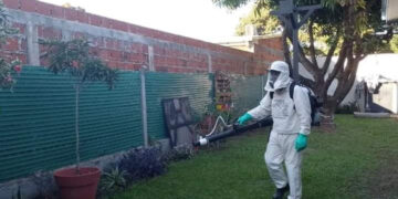 Dengue y chikungunya: Se insta a la colaboración ciudadana en la prevención