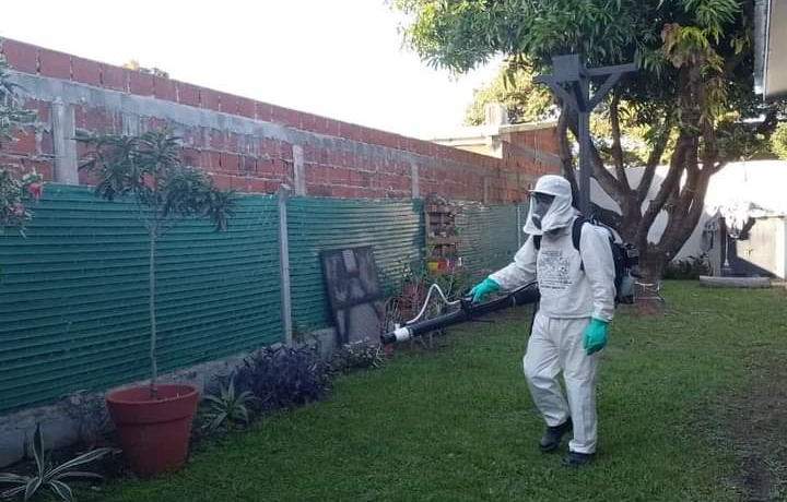 Dengue y chikungunya: Se insta a la colaboración ciudadana en la prevención
