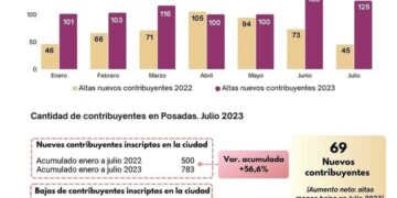 Dinámica comercial: Nuevos contribuyentes y sectores en ascenso