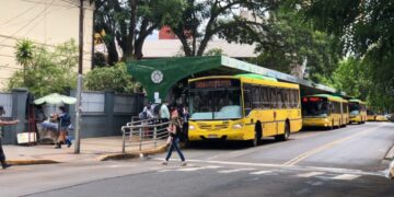 Elecciones Paso 2023: este domingo habrá servicio gratuito de  colectivos para electores