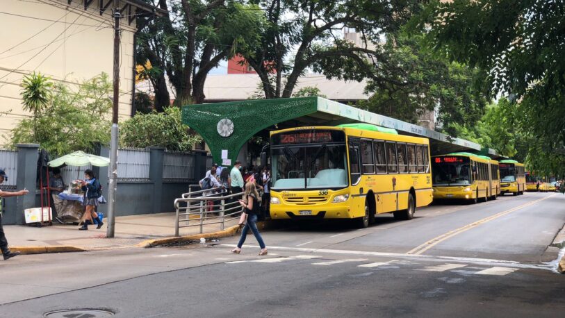 Elecciones Paso 2023: este domingo habrá servicio gratuito de colectivos para electores