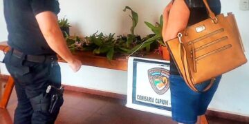 Las redes sociales ayudaron a policías a recuperar una valiosa colección de orquídeas
