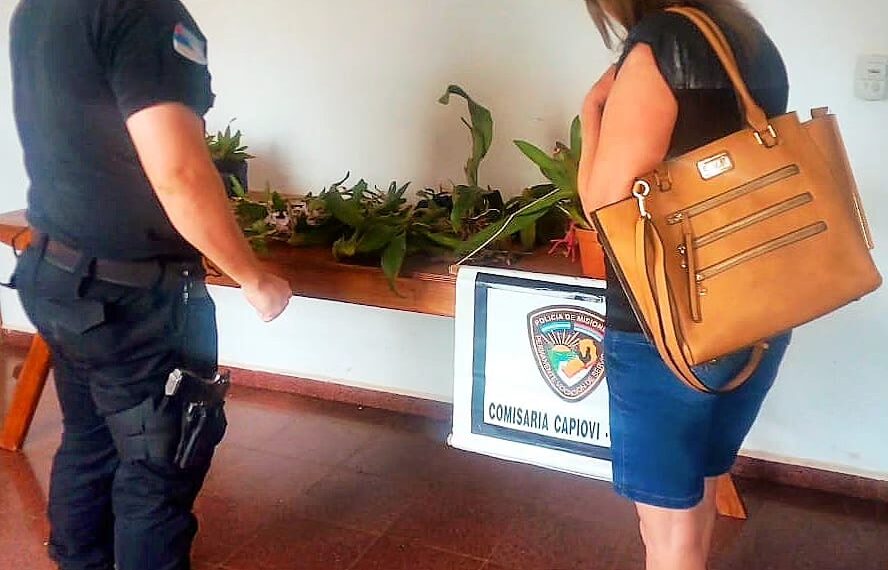 Las redes sociales ayudaron a policías a recuperar una valiosa colección de orquídeas