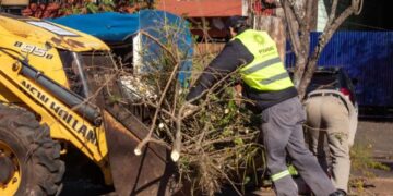 Operativo de poda: Desde mayo se retiraron unas 13 mil toneladas de ramas