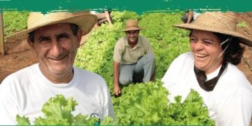 Feria de Hortigranjeiros: Posadas impulsa los lazos comerciales con Brasil