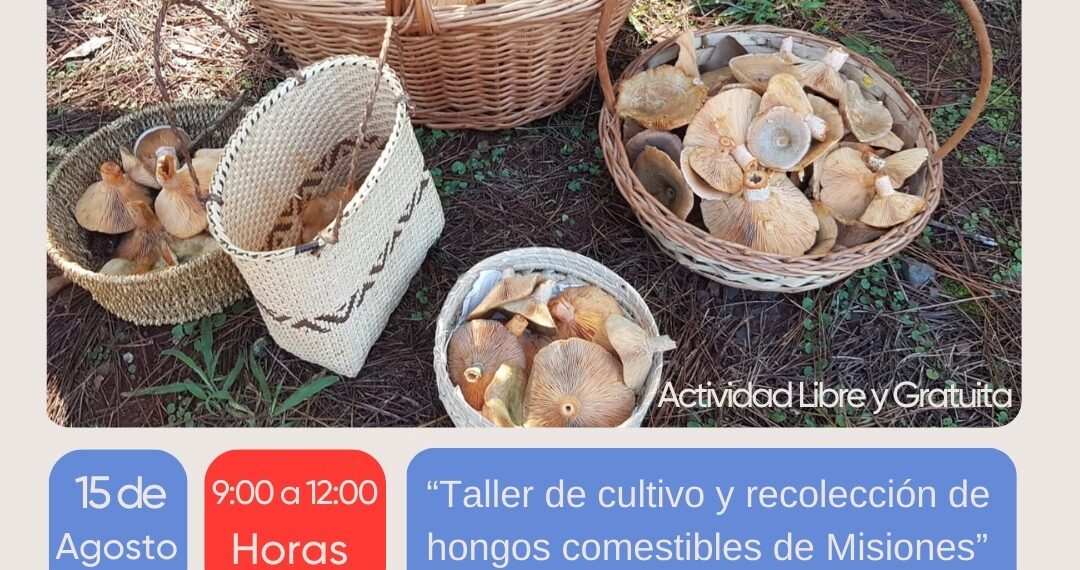 Llega un nuevo Ciclo de talleres sobre Hongos Comestibles a tres localidades misioneras