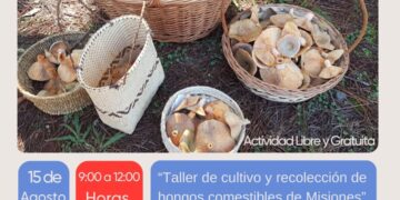 Llega un nuevo Ciclo de talleres sobre Hongos Comestibles a tres localidades misioneras